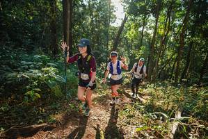 BIB: 
                            <button type="button" onclick="openModal(22548461)" class="btn btn-primary btn-sm float-right btn-popup" data-toggle="modal" data-target=".modal-high-quality">
                        <i class="fas fa-shopping-cart"></i> Add to Cart
                    </button>
                                            <button type="button" onclick="isThisMe(22548461, true)" class="btn btn-success btn-sm float-right btn-popup btn-isme hidden" data-toggle="tooltip" data-placement="bottom" title="นี่คือรูปของคุณใช่ไหม คลิกที่นี่เพื่อเอาเข้าอัลบั้ม">
                        <i class="fas fa-plus"></i> Add to album
                    </button>
                    <button type="button" onclick="isThisMe(22548461, false)" class="btn btn-warning btn-sm float-right btn-popup btn-isnotme hidden">
                        <i class="fas fa-ban"></i> Remove from album
                    </button>